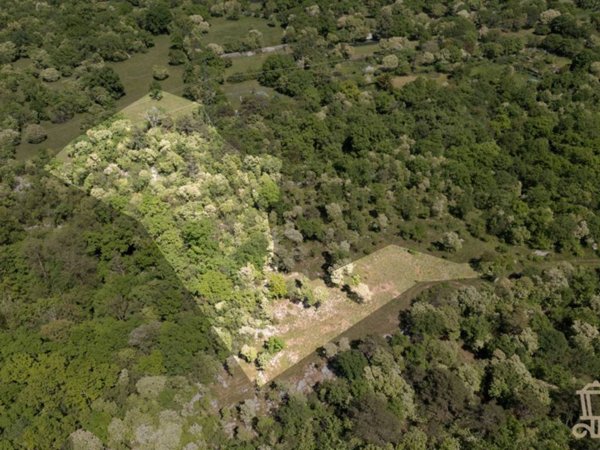terreno agricolo in vendita a Trieste in zona Prosecco