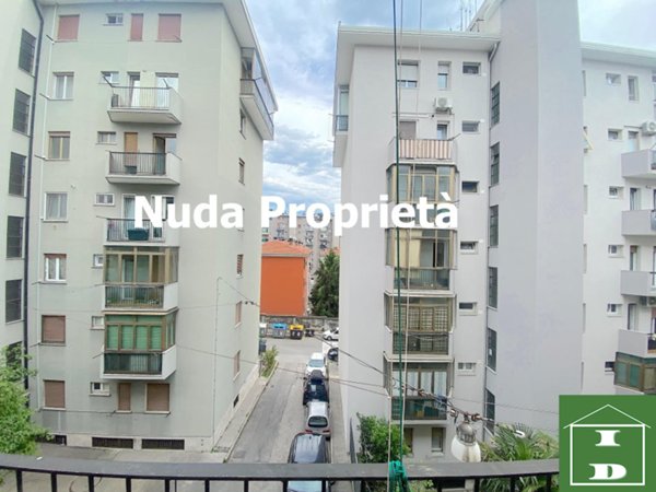 quadrivano in vendita a Trieste
