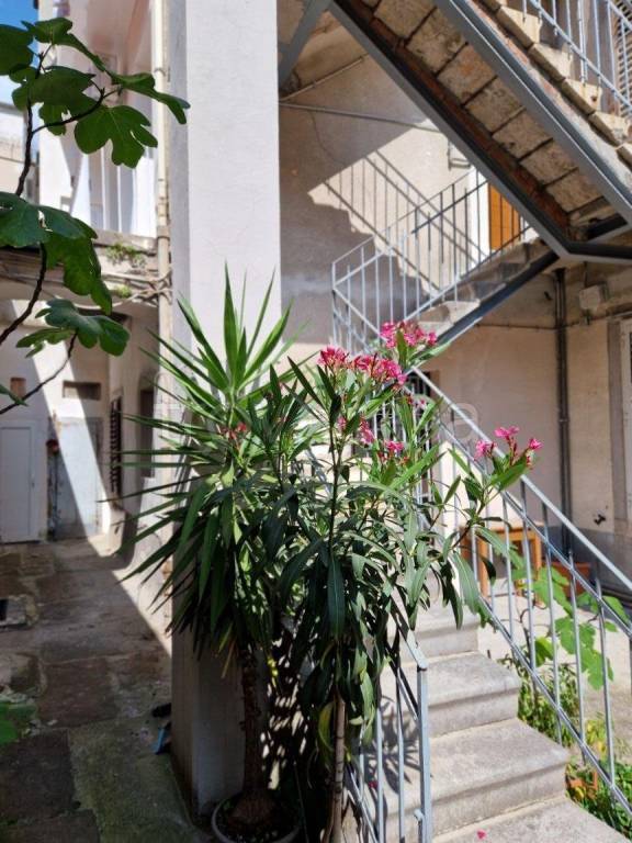 appartamento in vendita a Trieste