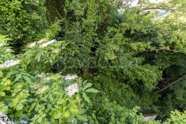 terreno agricolo in vendita a Trieste in zona Longhera
