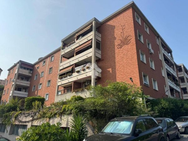 appartamento in vendita a Trieste in zona Valmaura