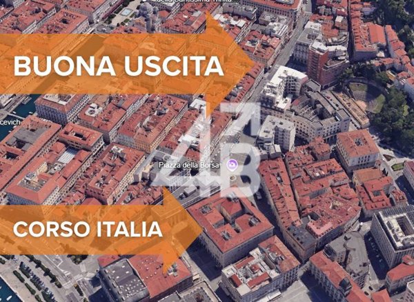 negozio in vendita a Trieste
