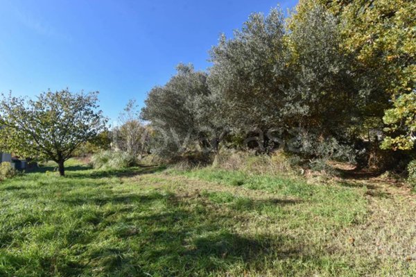 terreno agricolo in vendita a Trieste in zona Borgo San Sergio