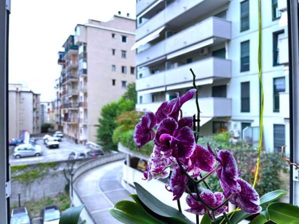 appartamento in vendita a Trieste