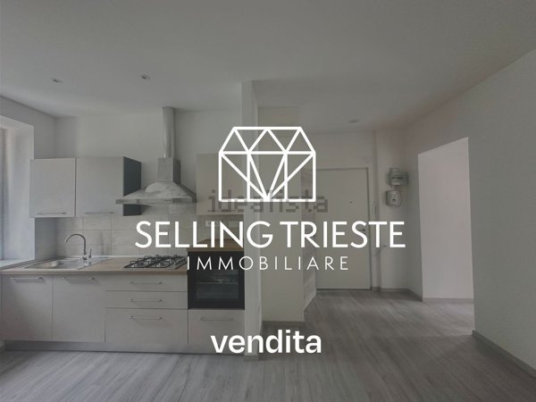 appartamento in vendita a Trieste in zona Roiano
