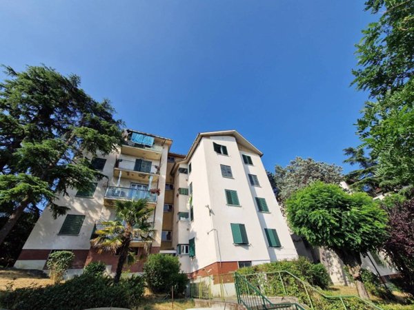appartamento in vendita a Trieste in zona Borgo San Sergio