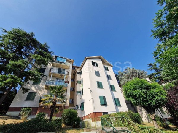 appartamento in vendita a Trieste in zona Borgo San Sergio