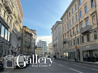 negozio in vendita a Trieste