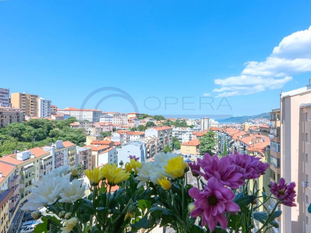 appartamento in vendita a Trieste