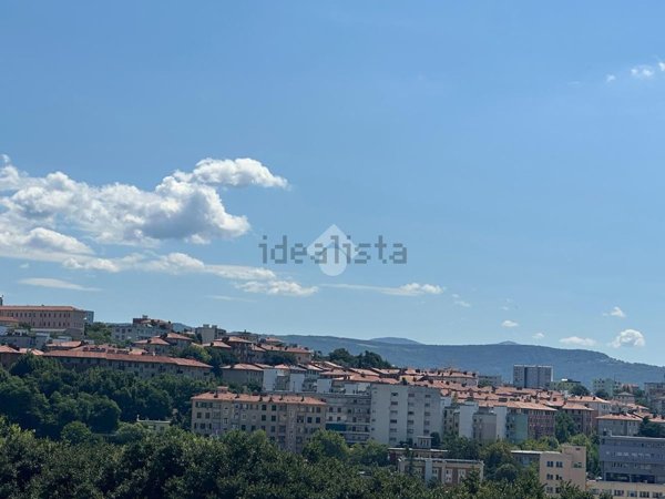 appartamento in vendita a Trieste in zona San Giacomo