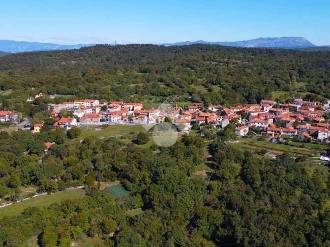 terreno agricolo in vendita a Trieste in zona Opicina