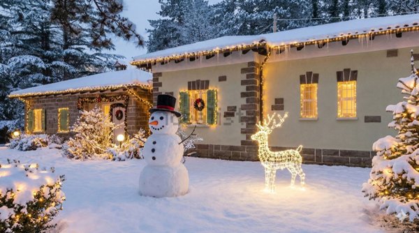 pentavano in vendita a Trieste in zona Roiano