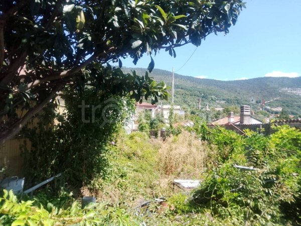 terreno agricolo in vendita a Trieste in zona Cologna