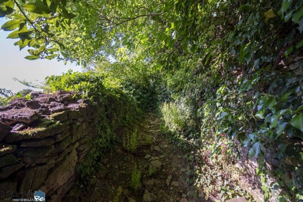 terreno agricolo in vendita a Trieste