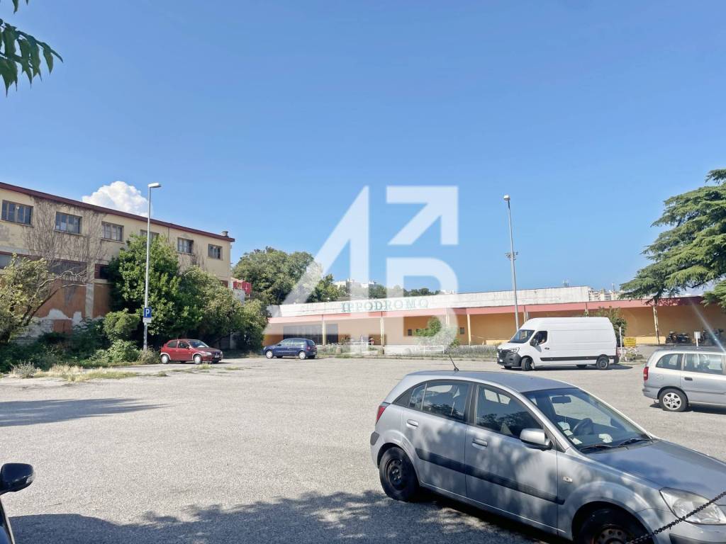 negozio in vendita a Trieste