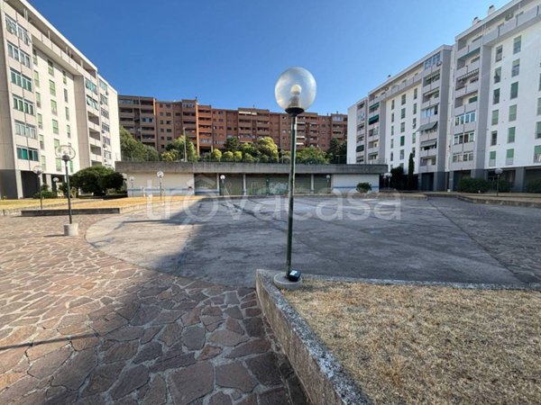 quadrivano in vendita a Trieste in zona Valmaura