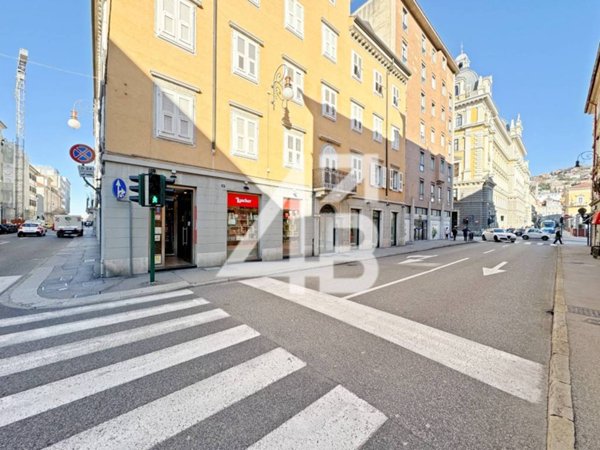 negozio in vendita a Trieste in zona Borgo Teresiano