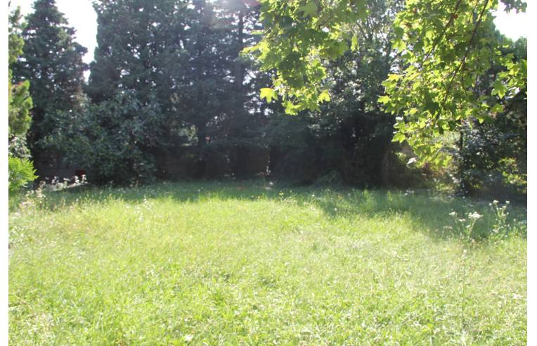 terreno agricolo in vendita a Trieste in zona Basovizza