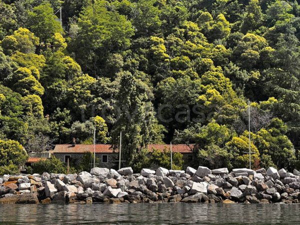 negozio in vendita a Trieste in zona Santa Croce