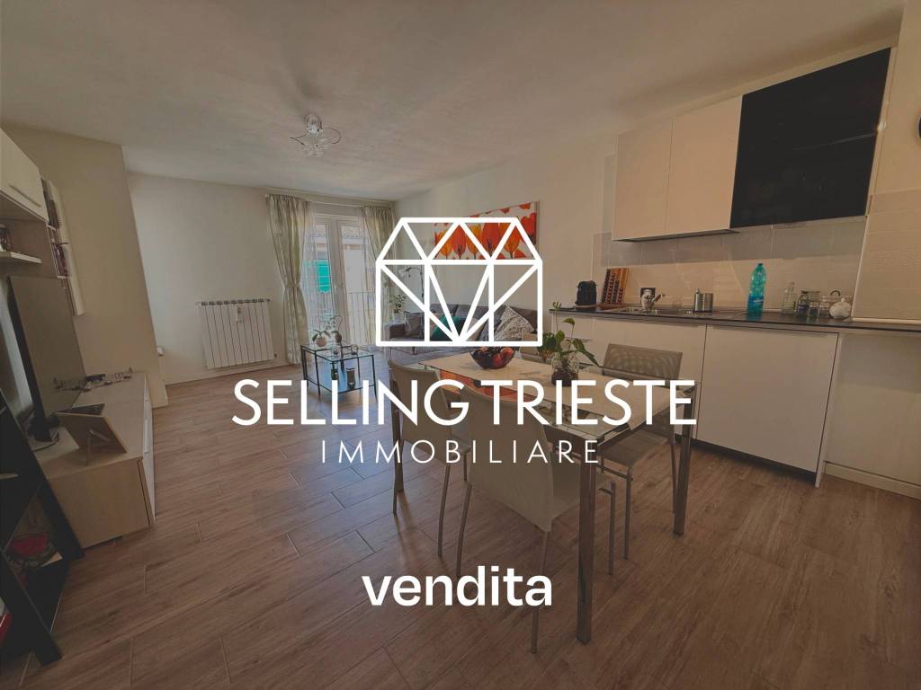 appartamento in vendita a Trieste
