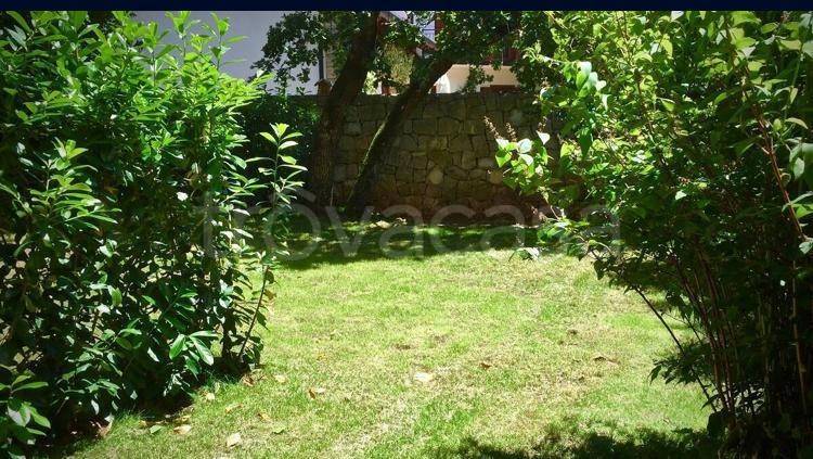 appartamento in vendita a Trieste in zona Basovizza