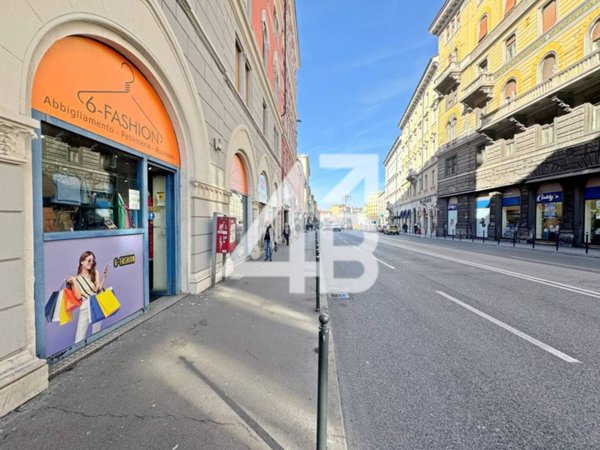 negozio in vendita a Trieste