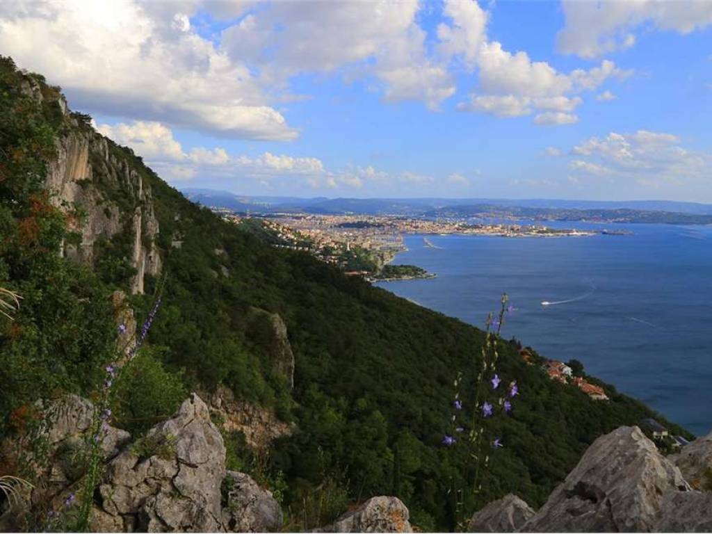 casa indipendente in vendita a Trieste in zona Opicina