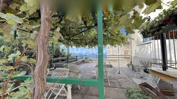 immagine annuncio 0 di 15