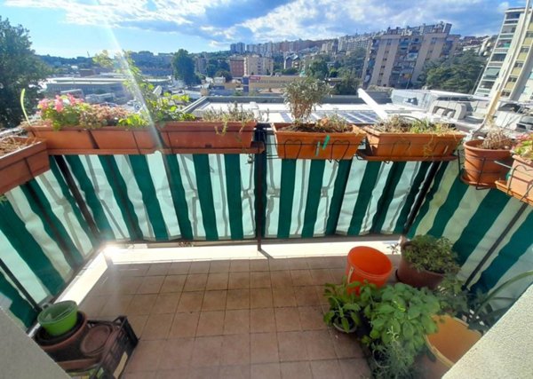 appartamento in vendita a Trieste