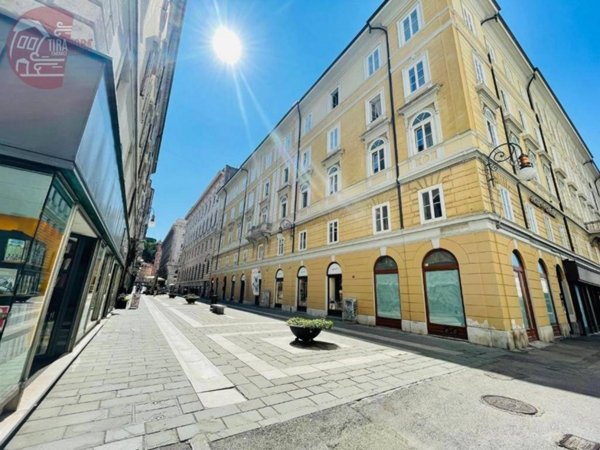 appartamento in vendita a Trieste in zona Borgo Teresiano