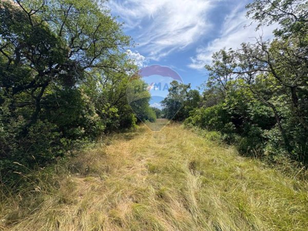 terreno agricolo in vendita a Trieste in zona Santa Croce