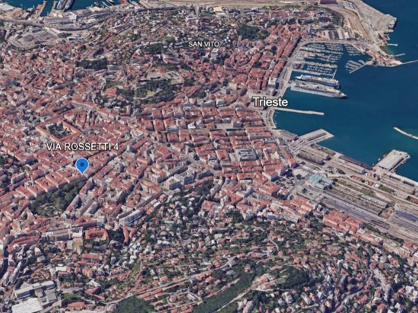 negozio in vendita a Trieste