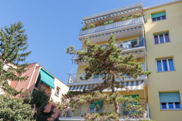 appartamento in vendita a Trieste in zona Rozzol