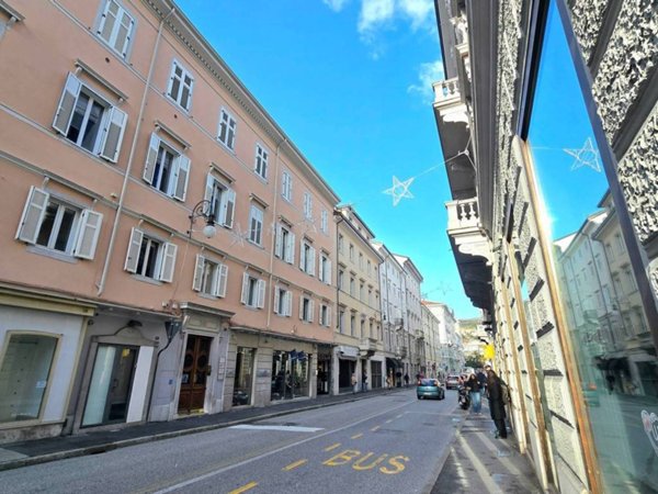 negozio in vendita a Trieste