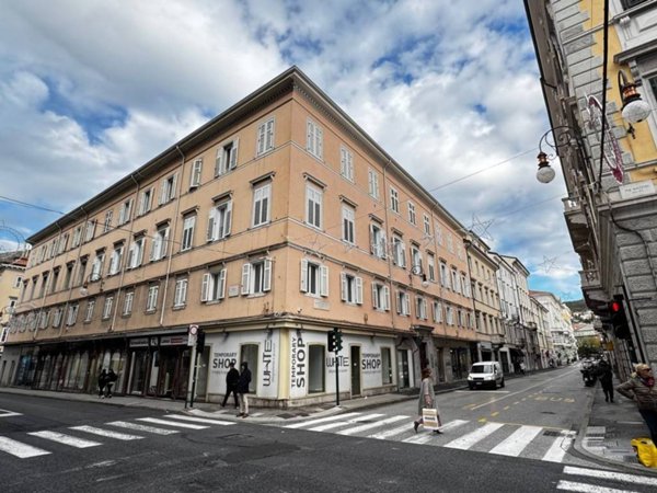 negozio in vendita a Trieste