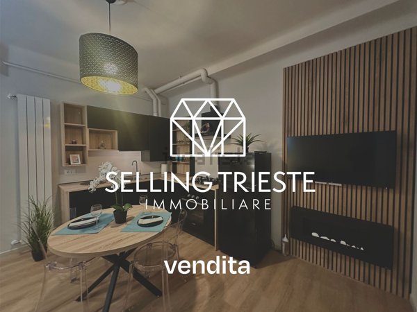 appartamento in vendita a Trieste in zona Barriera vecchia
