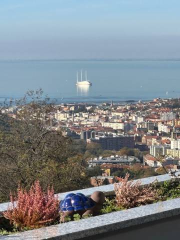 appartamento in vendita a Trieste in zona Basovizza