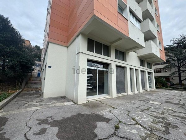 negozio in vendita a Trieste in zona Valmaura