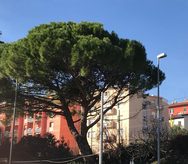 appartamento in vendita a Trieste in zona San Vito