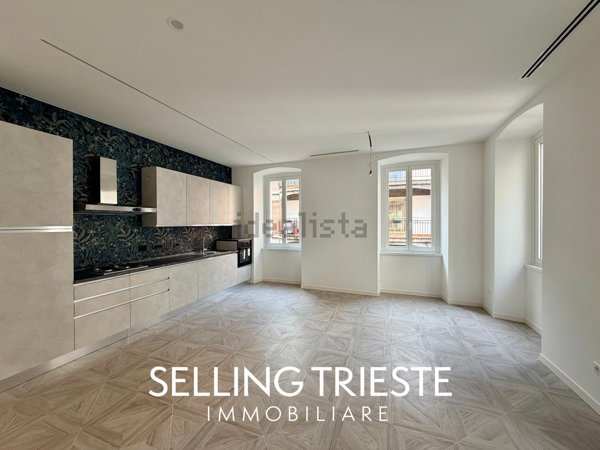 appartamento in vendita a Trieste in zona Barriera vecchia