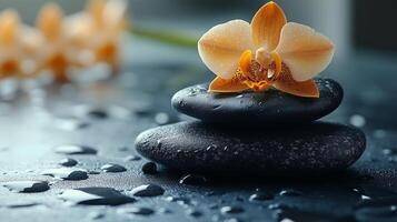 negozio in vendita a Trieste