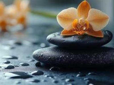 negozio in vendita a Trieste