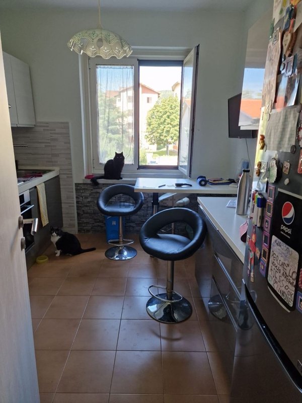 appartamento in vendita a Trieste in zona Borgo San Sergio