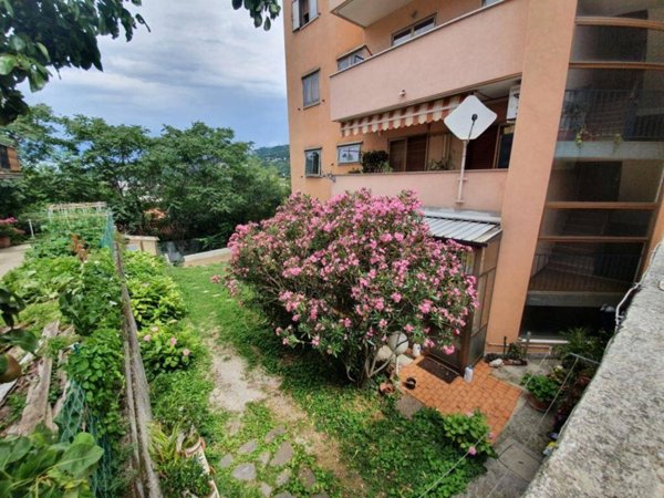 appartamento in vendita a Trieste in zona Rozzol