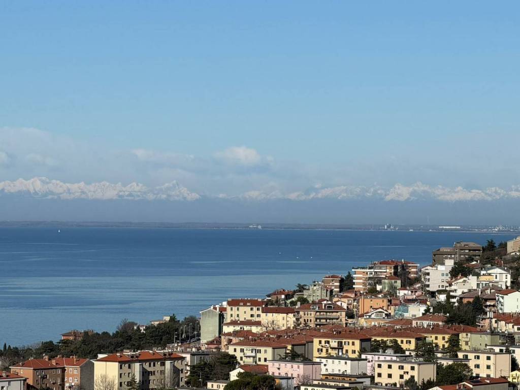 appartamento in vendita a Trieste in zona Cologna