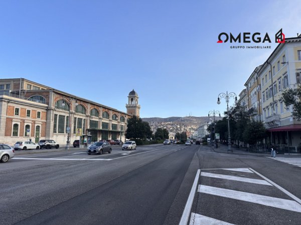 negozio in vendita a Trieste