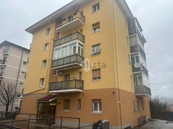 appartamento in vendita a Trieste