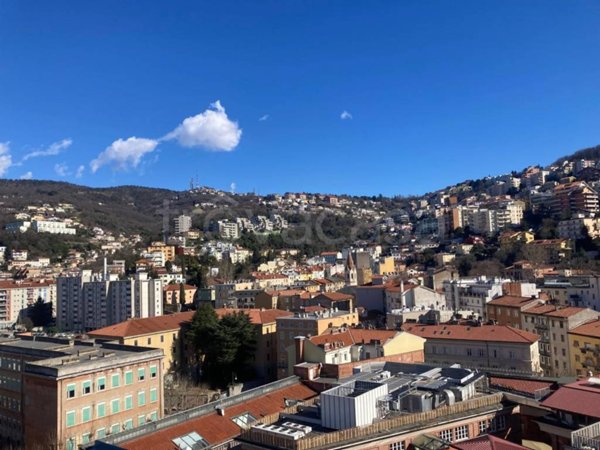 appartamento in vendita a Trieste in zona Gretta