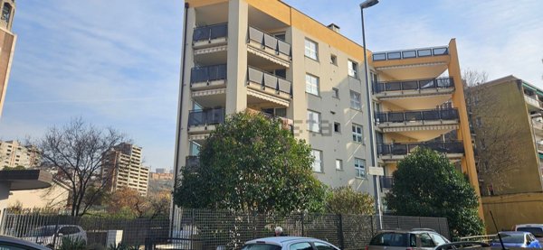 appartamento in vendita a Trieste