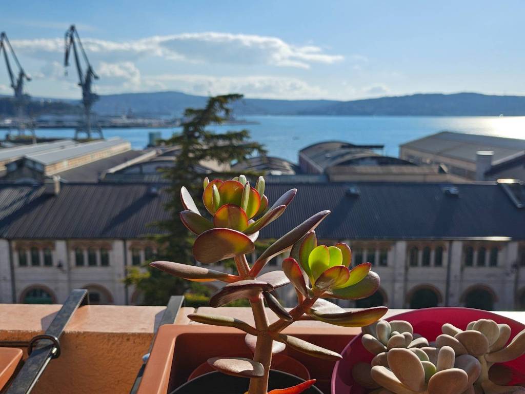 appartamento in vendita a Trieste in zona Chiarbola